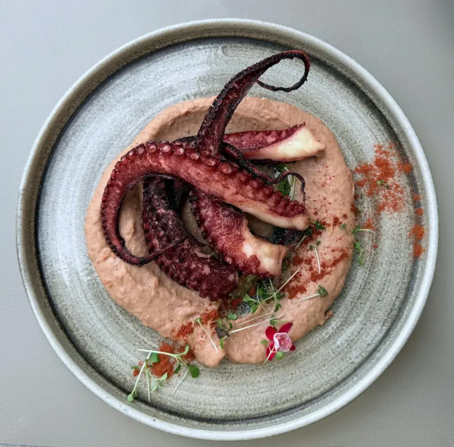 Come pulire il polpo: guida pratica passo dopo passo