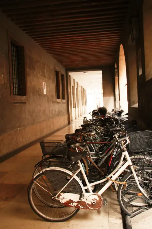 Ancona, rubano e danneggiano biciclette: quattro giovani colpiti da daspo urbano