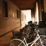 Ancona, rubano e danneggiano biciclette: quattro giovani colpiti da daspo urbano