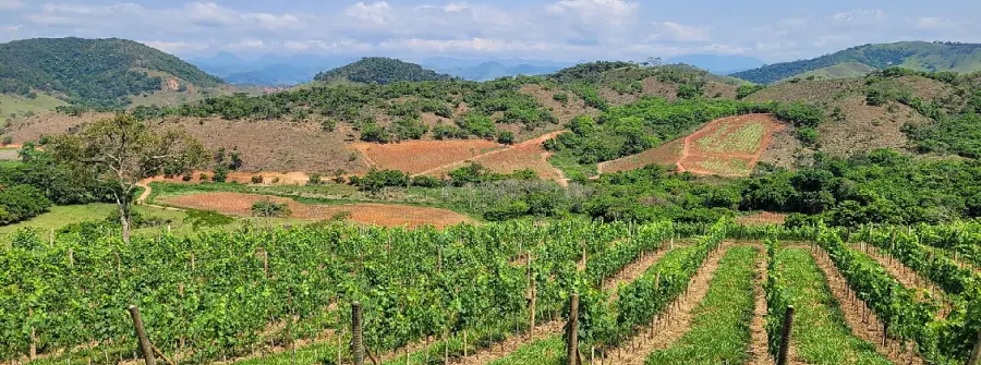 La Casa Vinicola Garofoli ospita la personale di Maria Grazia Focanti