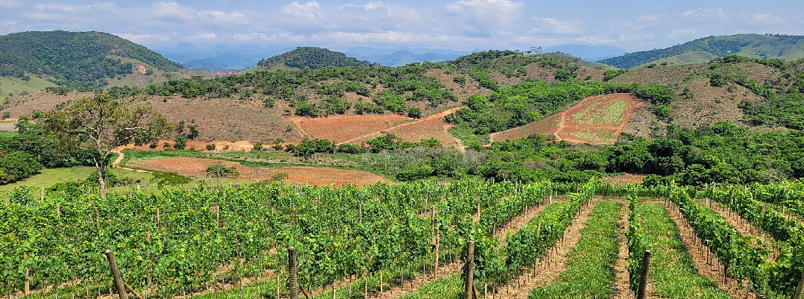 La Casa Vinicola Garofoli ospita la personale di Maria Grazia Focanti